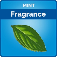Mint Fragrance