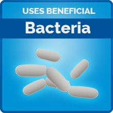 Uses Beneficial Bacteria